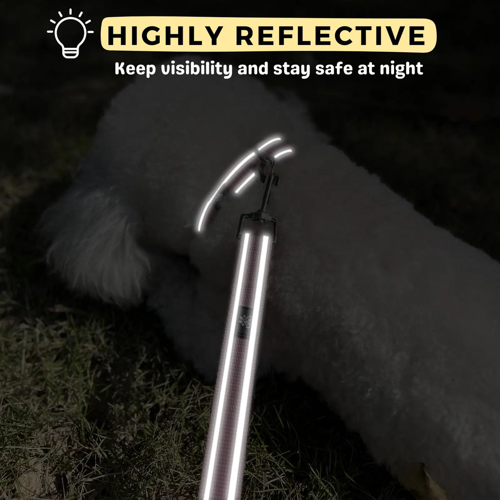 Reflective Comfort: Adjustable Neoprene Dog Collar and Leash Set for All Breeds