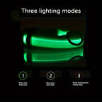 Illuminate Your Dog's Safety with Our Reflective LED Dog Collar - Durable, Stylish, and Perfect for Small to Medium Breeds