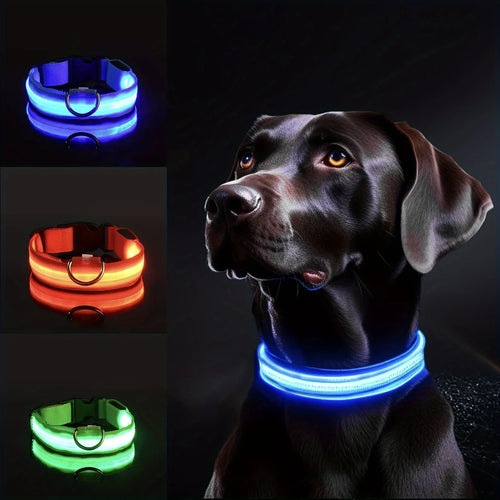 Brighten Your Pup's Safety: Stylish Reflective LED Dog Collar for Small to Medium Breeds